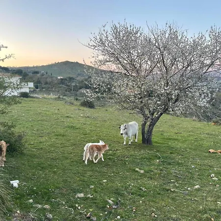 Casa Adele 1 Per In Semplicita E Relax In Prossimita Di Sperlonga * Itri